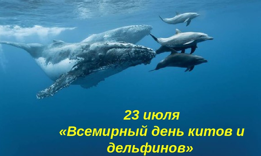 Новые Короткие  календарь праздников всемирный день китов и дельфинов