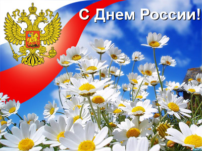 http://www.stost.ru/media/2016-10-14/-России_Ромашки.jpg